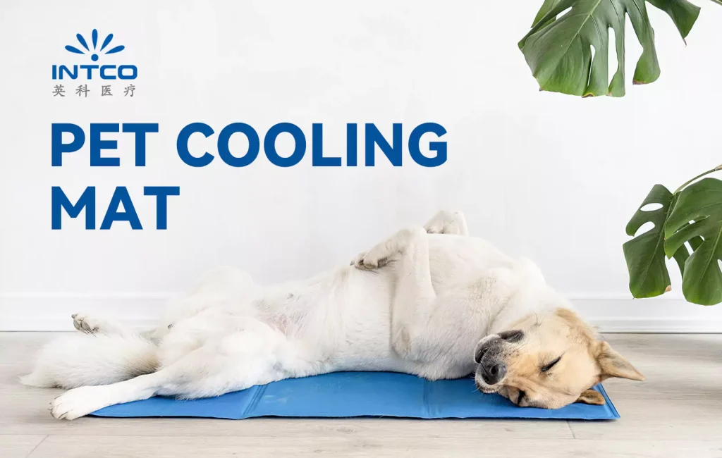 intco pet cooling mat