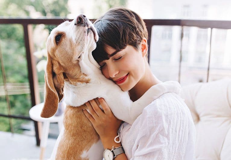 INTCO Healthcare for Pet Care